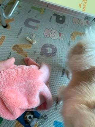 별이빛나길님이 올린 리뷰 사진 3