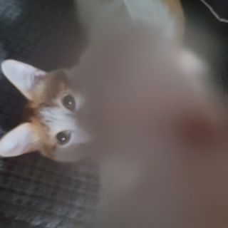 쓔리님이 올린 리뷰 사진 4