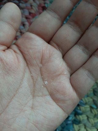 도도맘님이 올린 리뷰 사진 4