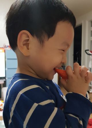 옳음 딸기 논산 설향 딸기 900g 산지직송 — 5점을 준 리뷰어가 2021년 1월 올린 사용 사진