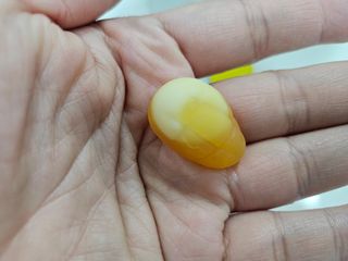 민서님이 올린 리뷰 사진 1