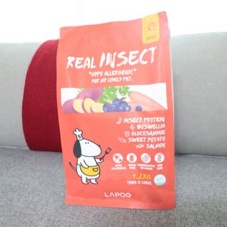 [푸디웜] 라포그  리얼인섹트 관절 저알러지 강아지 사료  1.2KG — 5점을 준 리뷰어가 2022년 8월 올린 사용 사진