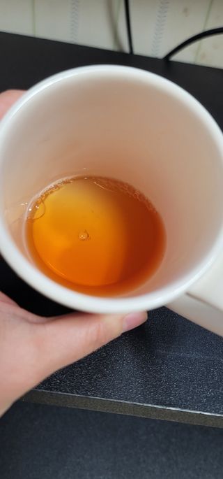 소담스퀘어 상암 제로카페인x제로칼로리 제주 유기농 유이크 구아바잎차 500ml x 6개입 (1박스) — 5점을 준 리뷰어가 2022년 11월 올린 사용 사진
