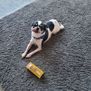 썽이mom앙꼬님이 올린 리뷰 사진 3