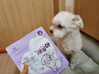 My Pet Care 천연단백질 치아건강에 개좋아 — 5점을 준 리뷰어가 2021년 1월 올린 사용 사진