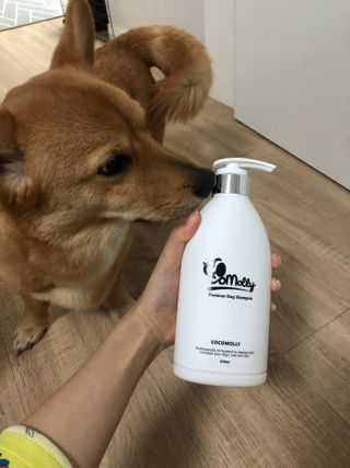 예민한 피부를 위한 코코몰리 All in one 자연유래 샴푸 — 5점을 준 리뷰어가 2021년 3월 올린 사용 사진
