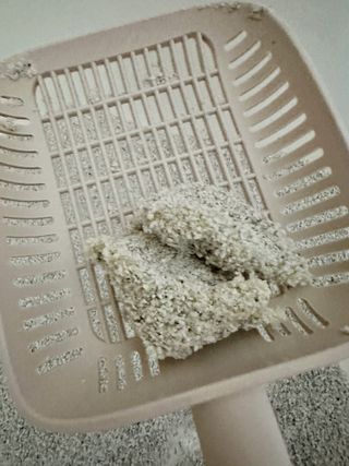 유키코코샤넬님이 올린 리뷰 사진 3