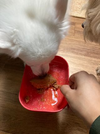 민트초코님이 올린 리뷰 사진 4