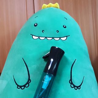 코박 스프레이 살균수  500ml 세트 — 5점을 준 리뷰어가 2022년 5월 올린 사용 사진