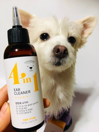 Lily님이 올린 리뷰 사진 2