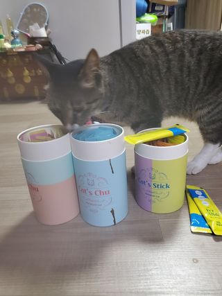 페페로니 맛있는 스틱 - 무항생제 닭고기 15개 + 원양선 참치 15개 — 5점을 준 리뷰어가 2021년 8월 올린 사용 사진