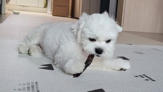 쏘이님이 올린 리뷰 사진 4