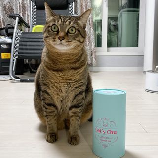 페페로니 잘 먹는 캣츄 - 원양선 참치 24개입 — 5점을 준 리뷰어가 2021년 10월 올린 사용 사진