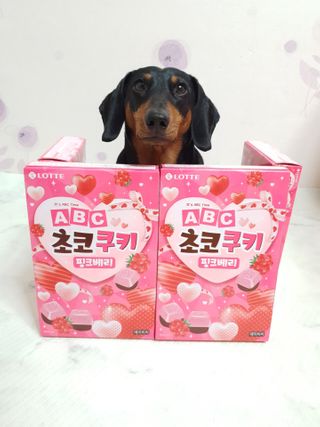 히이잇님이 올린 리뷰 사진 1