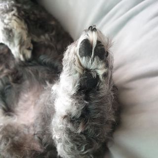 깜딱지님이 올린 리뷰 사진 4