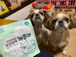 My Pet Care 천연단백질 눈건강에 개좋아 — 5점을 준 리뷰어가 2021년 2월 올린 사용 사진