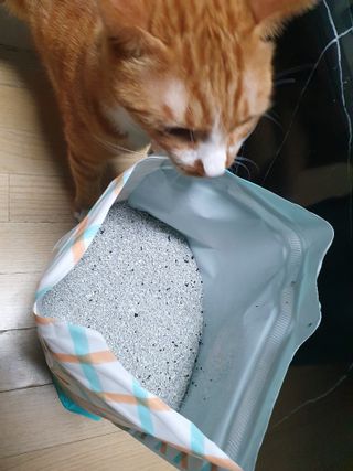 나이스님이 올린 리뷰 사진 2