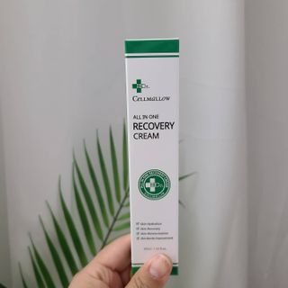 유채원님이 올린 리뷰 사진 1