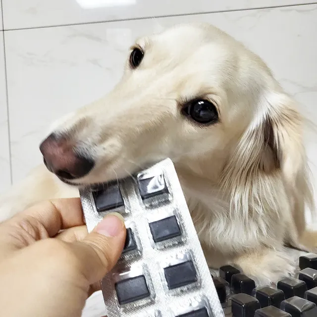 라포그 데이트릿 스킨 리뷰 사진