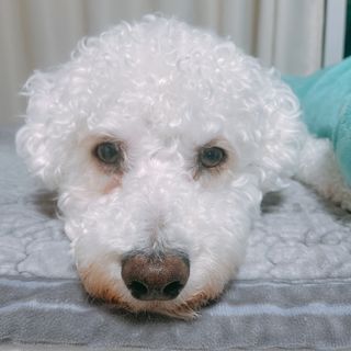 이이이잉ㅇ님이 올린 리뷰 사진 3