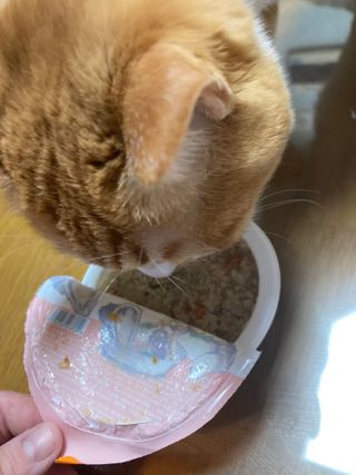 진진이님이 올린 리뷰 사진 1