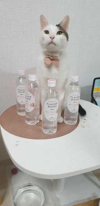 아쿠아스 플레이버워터 ★[아쿠아스] 제로칼로리 플레이버워터 복숭아/청포도 1BOX 20개입 — 4.5점을 준 리뷰어가 2021년 4월 올린 사용 사진