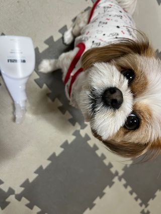 다즐링님이 올린 리뷰 사진 4