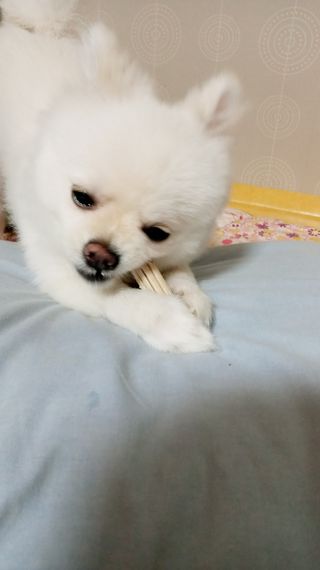 희야님이 올린 리뷰 사진 4