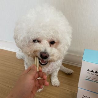 페페로니 2종 세트 클린플러스 덴탈껌 치킨+덕 — 5점을 준 리뷰어가 2021년 8월 올린 사용 사진