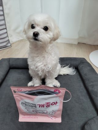 My Pet Care 천연단백질 관절건강에 개좋아 — 4점을 준 리뷰어가 2021년 2월 올린 사용 사진