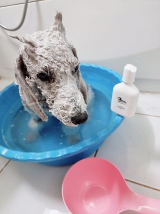 려혀니님이 올린 리뷰 사진 1