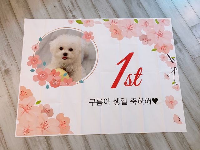 로즈골드 현수막 1763 일반확대 사이즈 리뷰 사진