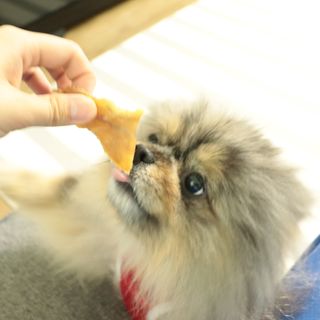 오코리타님이 올린 리뷰 사진 2