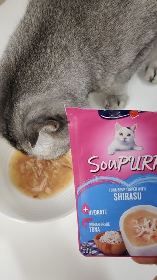 비타크래프트 고양이 수프 50g 3가지맛 x4팩씩 총 12팩 — 5점을 준 리뷰어가 2021년 8월 올린 사용 사진