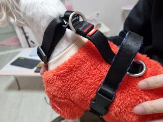 노지혜님이 올린 리뷰 사진 4