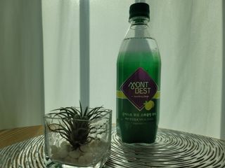 몽베스트 Montbest with Sparkling water Lemon OR Lime 20병(랜덤) — 5점을 준 리뷰어가 2021년 10월 올린 사용 사진