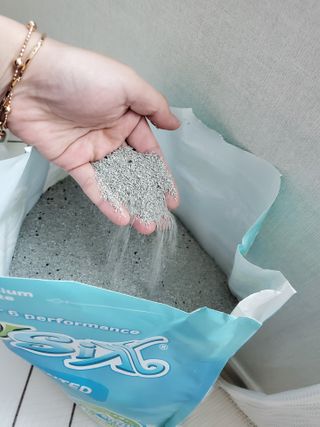 보리엄마님이 올린 리뷰 사진 2