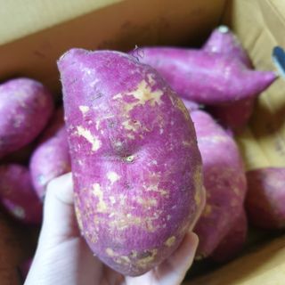 뚠꾸뚠꾸💕님이 올린 리뷰 사진 4