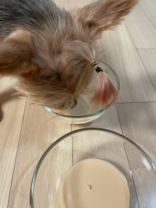 효니님이 올린 리뷰 사진 3
