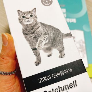 냐냐님이 올린 리뷰 사진 3