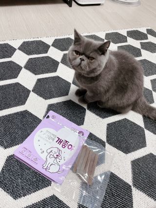 sehee님이 올린 리뷰 사진 1
