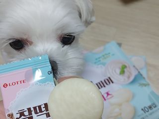 레오포포님이 올린 리뷰 사진 4