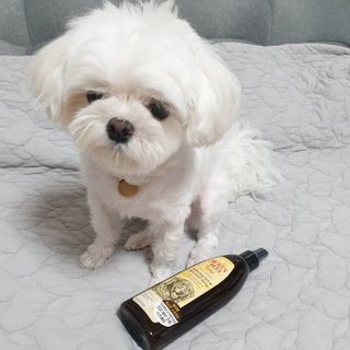 lala님이 올린 리뷰 사진 1