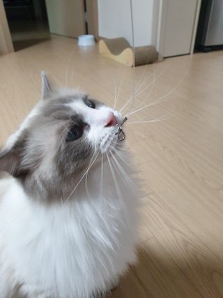 로크찡님이 올린 리뷰 사진 3