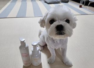 [댕모어 샴푸 2종] 댕샴푸 / 퍼피샴푸  2종 세트 (300ml) — 5점을 준 리뷰어가 2023년 8월 올린 사용 사진