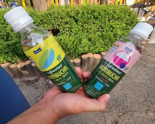 더그레잇티 콤부차 [매일유업] 더그레잇티 44kcal 콤부차 300ml *12개입 (오리지널 6개+베리리치 6개) — 5점을 준 리뷰어가 2023년 7월 올린 사용 사진