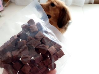 My Pet Care 천연단백질 눈건강에 개좋아 — 5점을 준 리뷰어가 2021년 2월 올린 사용 사진