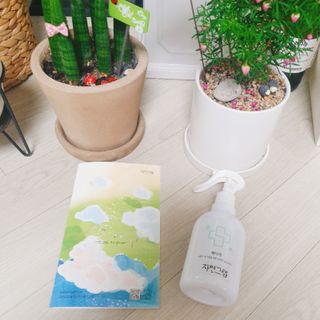 제인무탄바님이 올린 리뷰 사진 2