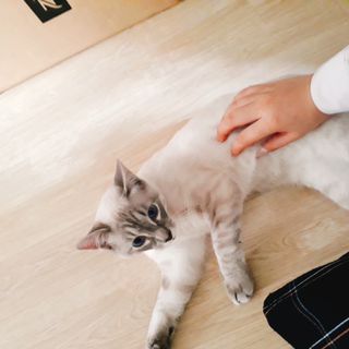 🌸치즈플🌸님이 올린 리뷰 사진 3