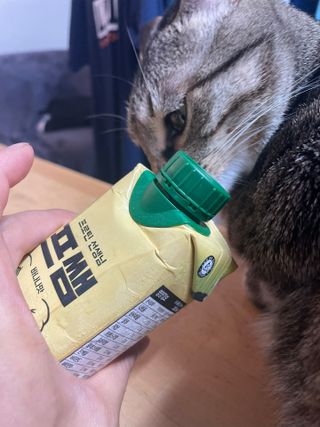 SanghyukCha님이 올린 리뷰 사진 4